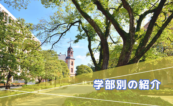 学部別の同志社大学の特別入試情報