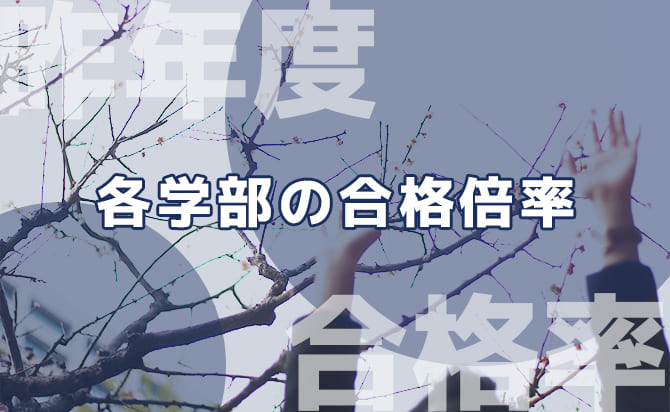 2023年度の各学部の合格倍率