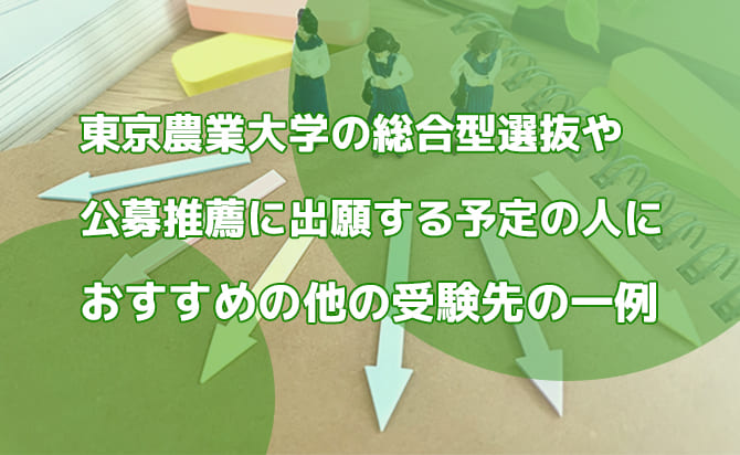 東京農業大学の総合型選抜や公募推薦に出願する人におすすめの他の大学