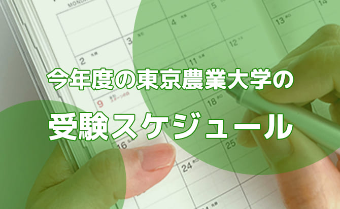 選考スケジュール