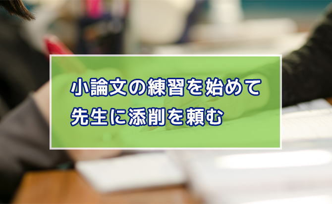 小論文の添削を頼む